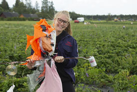 ФОТО: юные дружинники летом собирают клубнику и создают квесты
