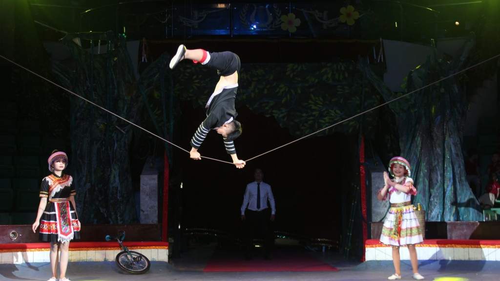 Цирковые артисты из разных стран стали участниками фестиваля в Твери