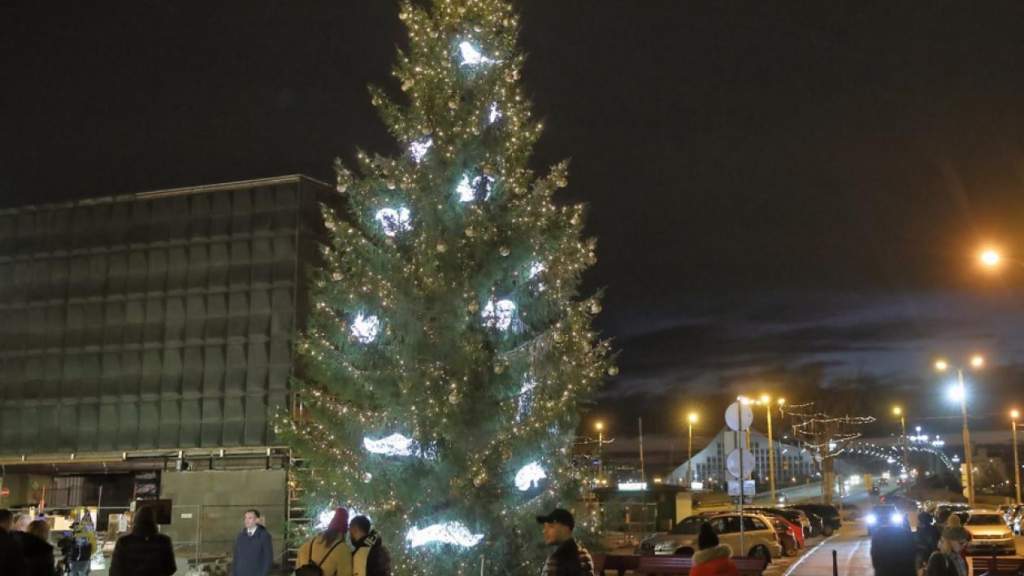 В Риге зажгли главные рождественские ели (+ФОТО)