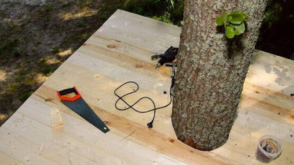 Как сделать дом на дереве: виды «зданий», рекомендации, этапы строительства