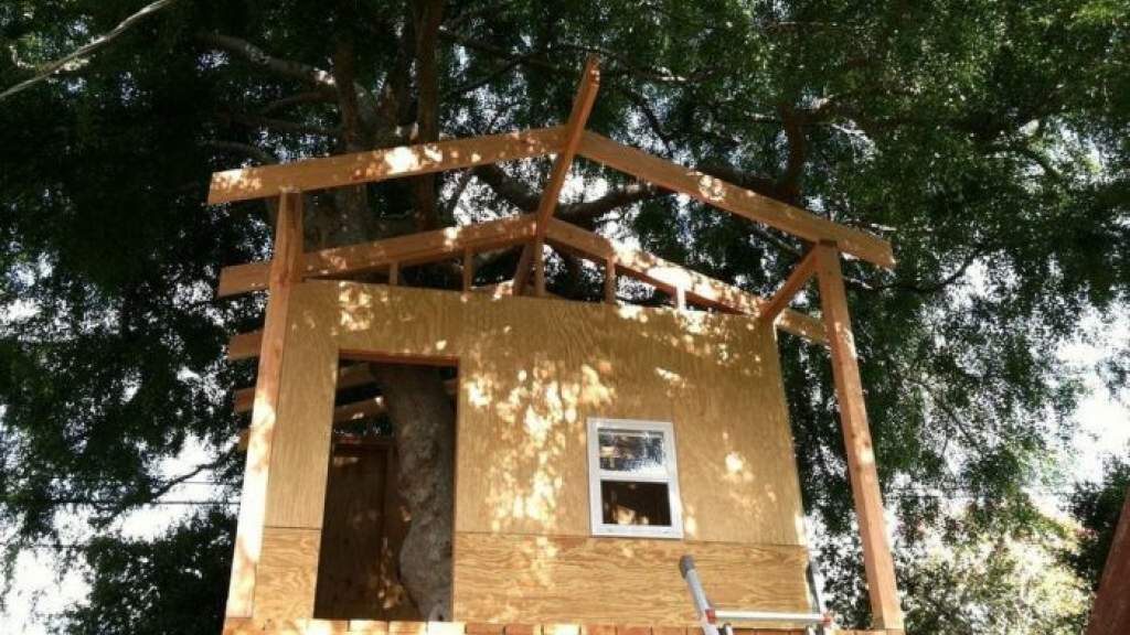 Законно ли построить домик на дереве?