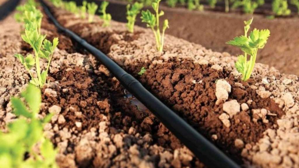 Как сделать полив огорода своими руками: разные виды систем и их создание