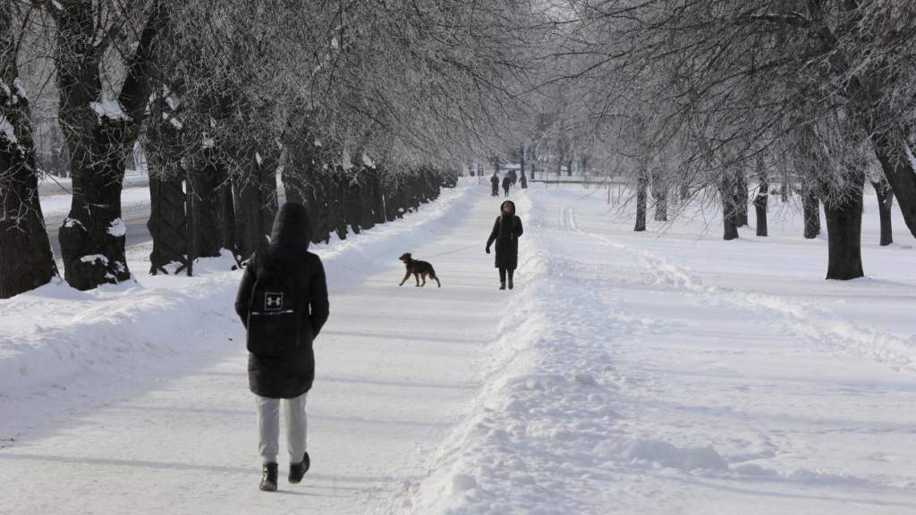 25 градусов холодно. Город в котором зимой + 25 градусов в России. Длительный снегопад.
