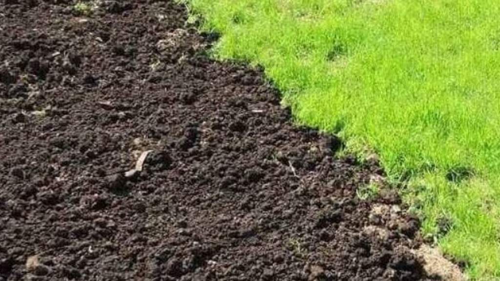 Как выбрать грунт для газона? Состав земли для газонной травы