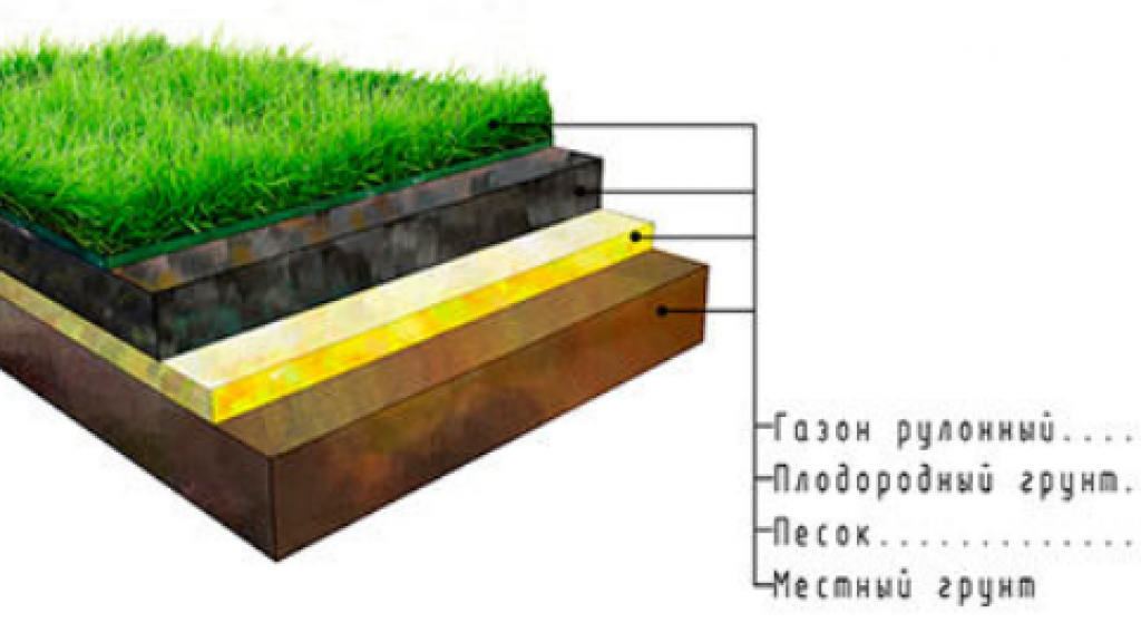 Укладка рулонного газона: технология, ее особенности и рекомендации